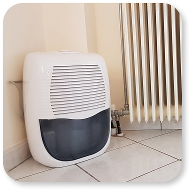 Dehumidifier Service in Sarasota & Manatee County